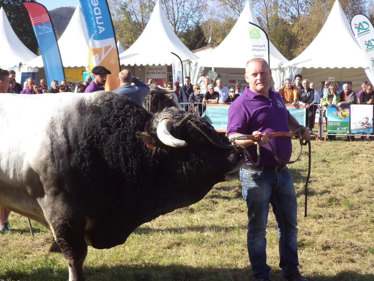 Foire Départementale de l'Élevage